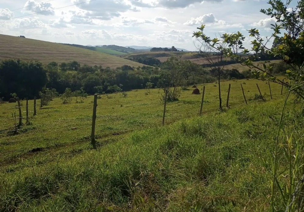 Fazenda, 120 hectares - Foto 3