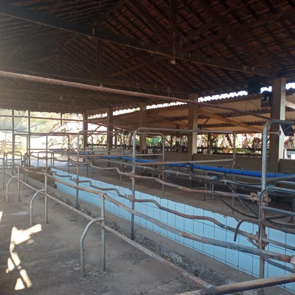 Fazenda, 120 hectares - Foto 1