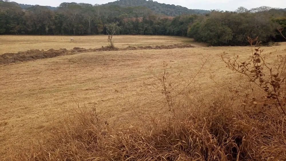 Fazenda, 120 hectares - Foto 13