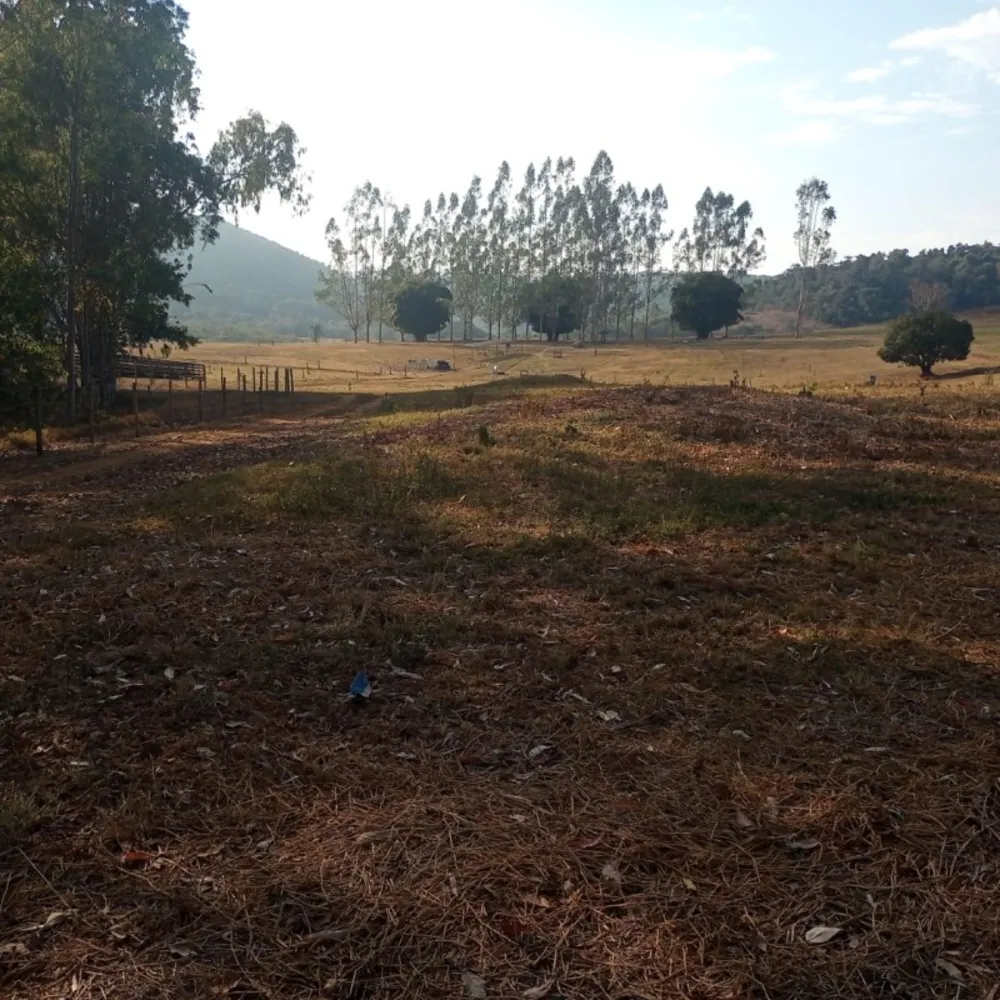 Fazenda, 120 hectares - Foto 11
