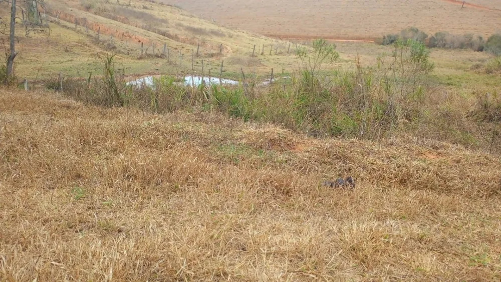 Fazenda, 120 hectares - Foto 8