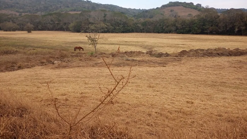 Fazenda, 120 hectares - Foto 2