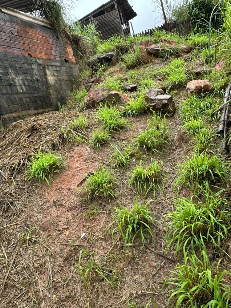Terreno, 200 m² - Foto 1