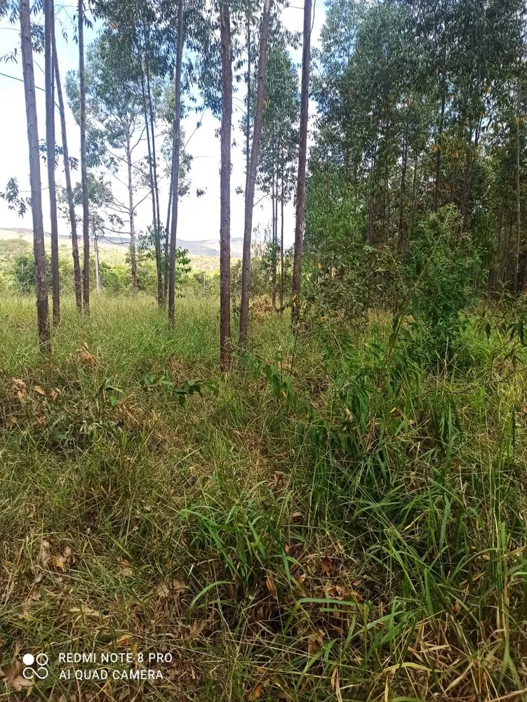 Fazenda, 1 quarto - Foto 1