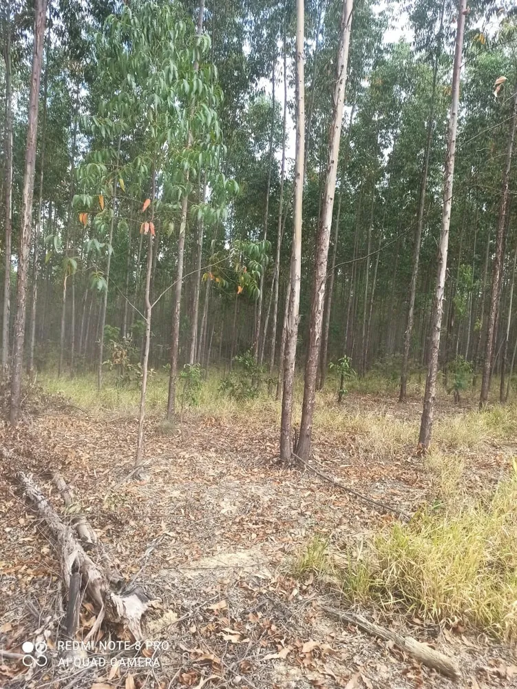 Fazenda, 1 quarto - Foto 4