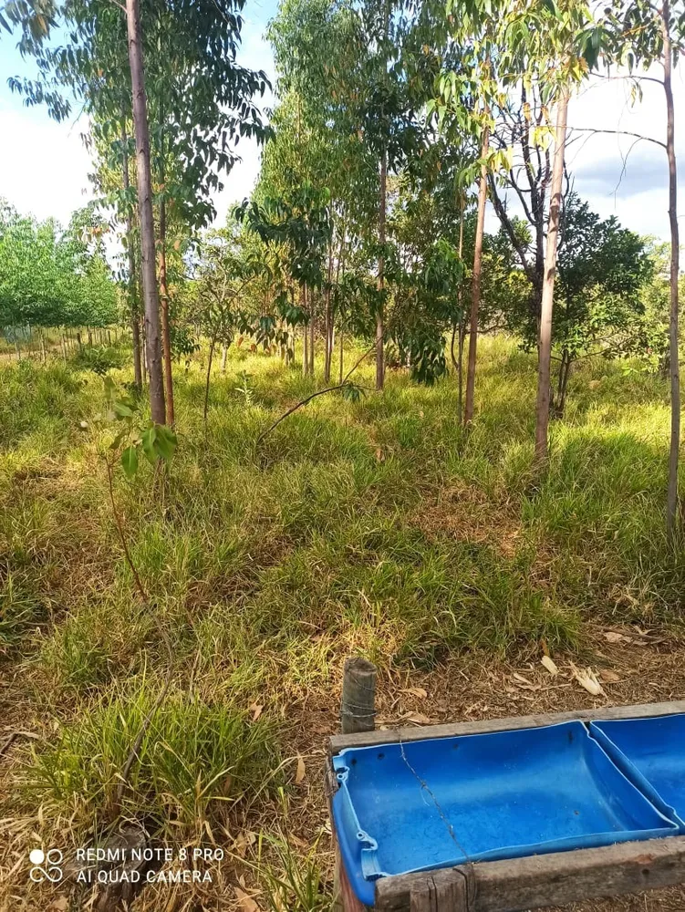 Fazenda, 1 quarto - Foto 9