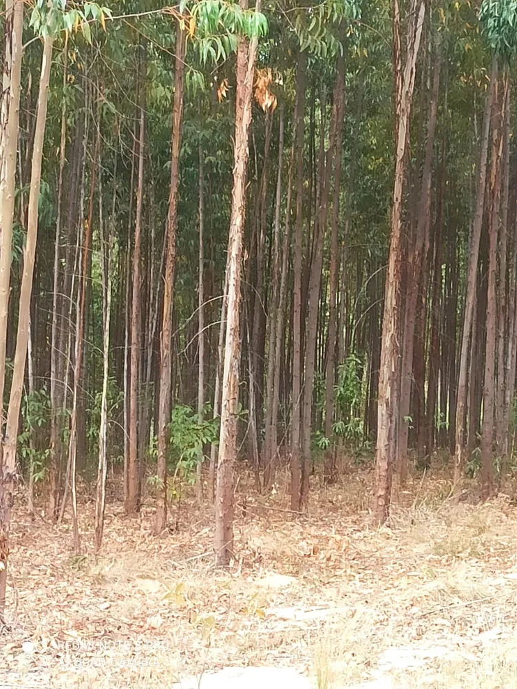 Fazenda, 1 quarto - Foto 8
