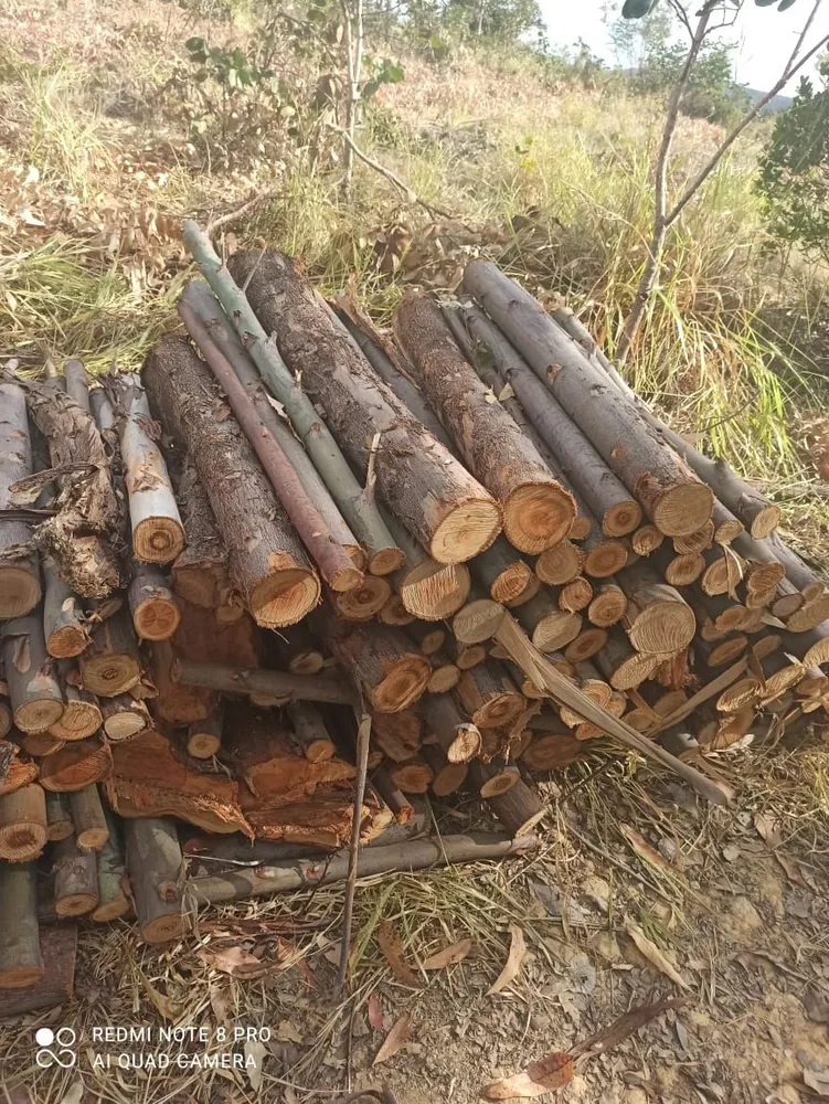 Fazenda, 1 quarto - Foto 13