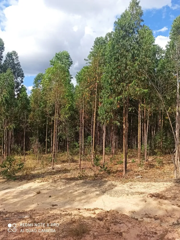 Fazenda, 1 quarto - Foto 12