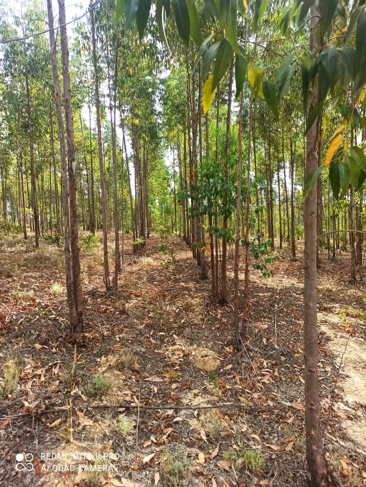 Fazenda, 1 quarto - Foto 10
