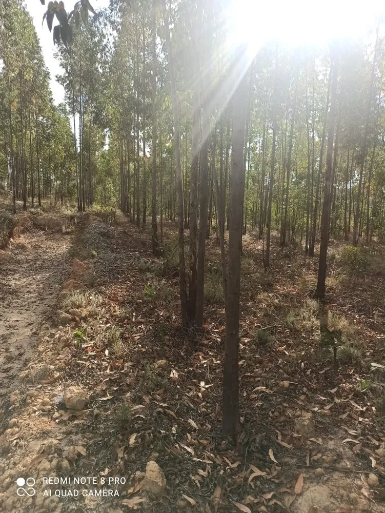 Fazenda, 1 quarto - Foto 11