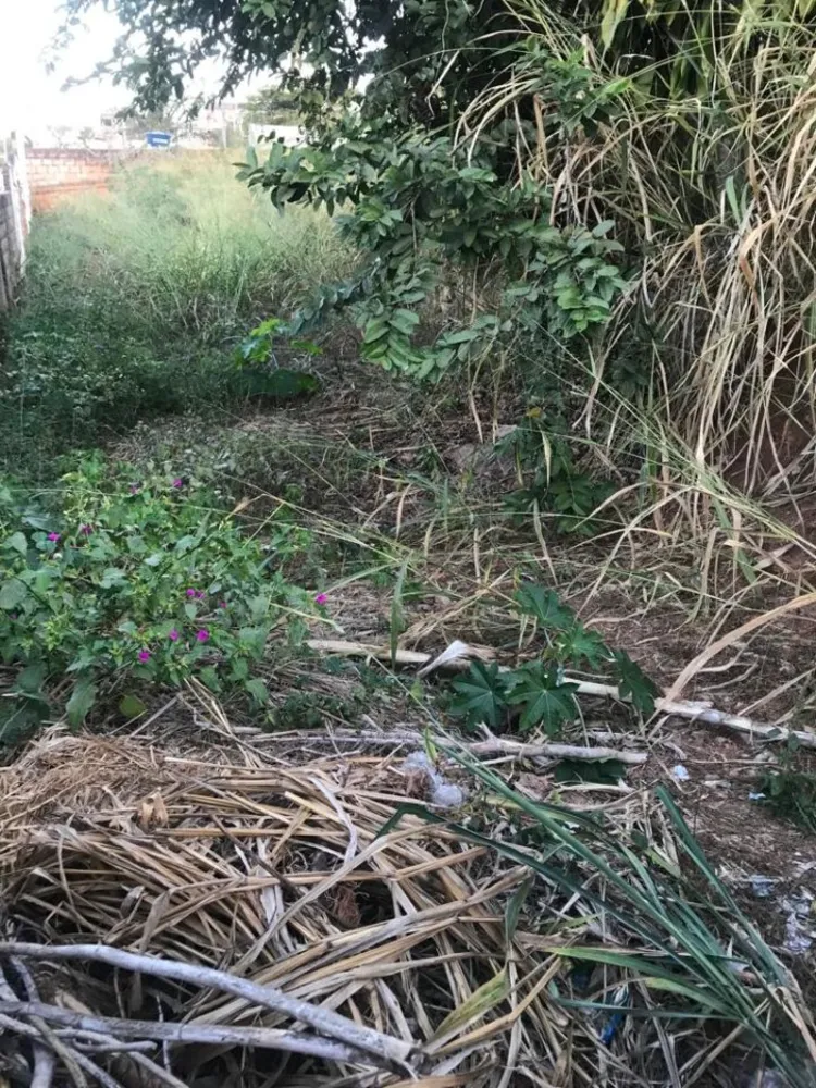 Terreno - Foto 7