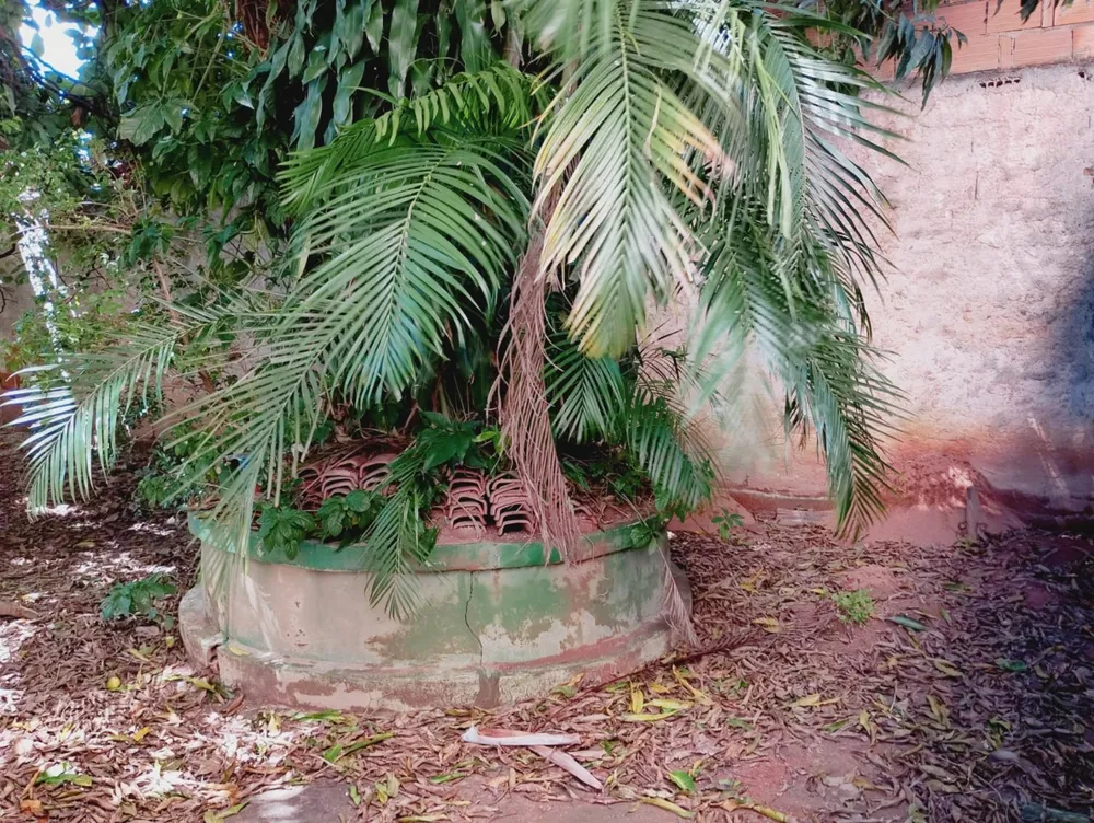 Casa, 3 quartos, 115 m² - Foto 6