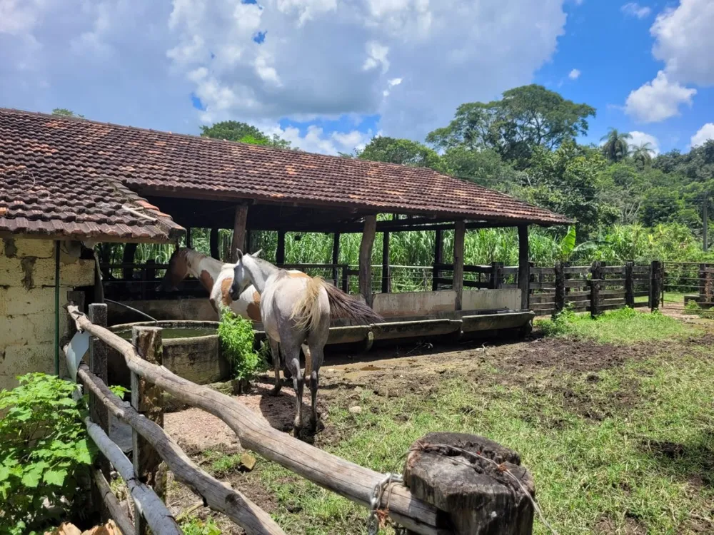 Chácara, 1 quarto - Foto 1
