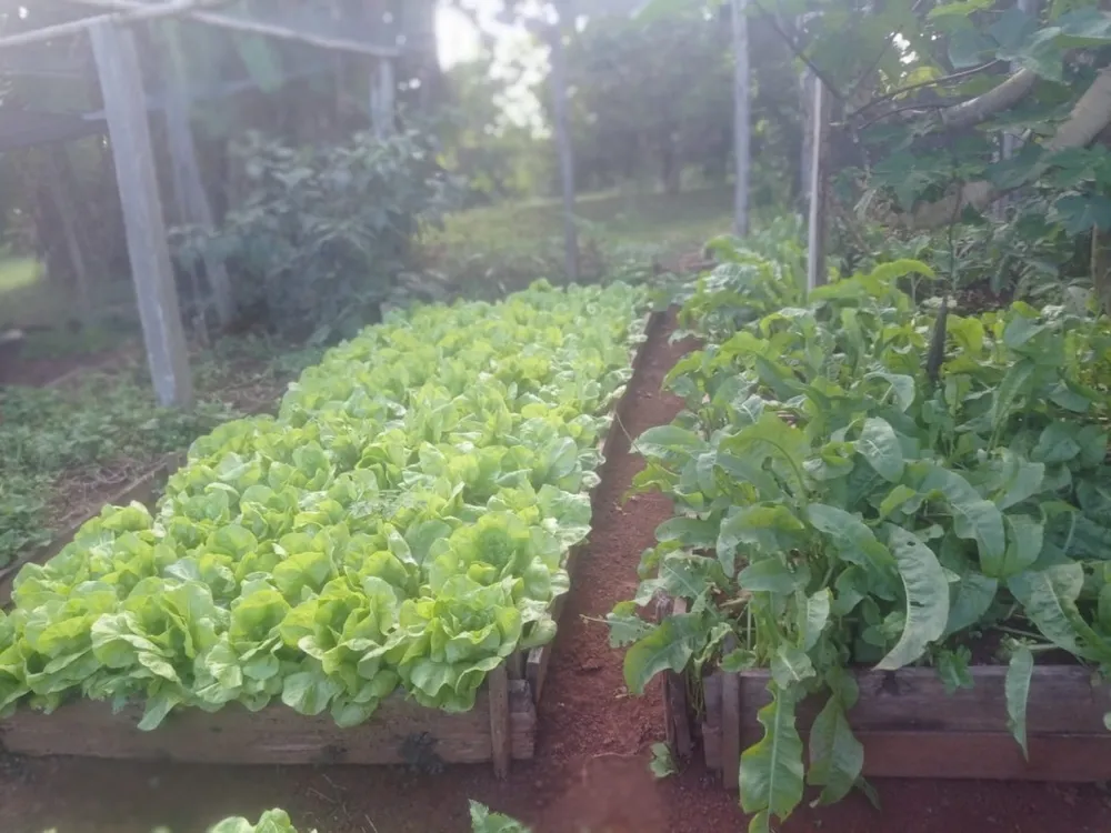 Fazenda, 3 quartos - Foto 8