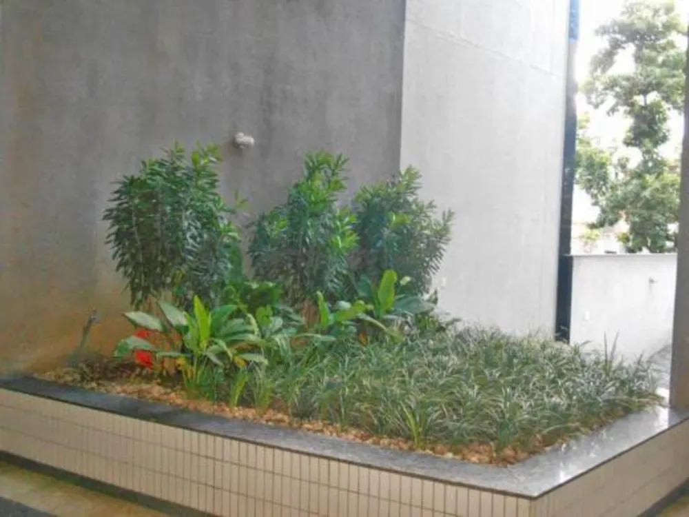 Sala-Conjunto, 250 m² - Foto 19