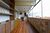 Casa, 5 quartos, 691 m² - Foto 18