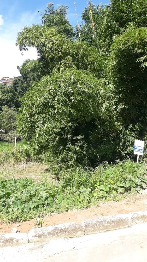 Terreno, 265 m² - Foto 5