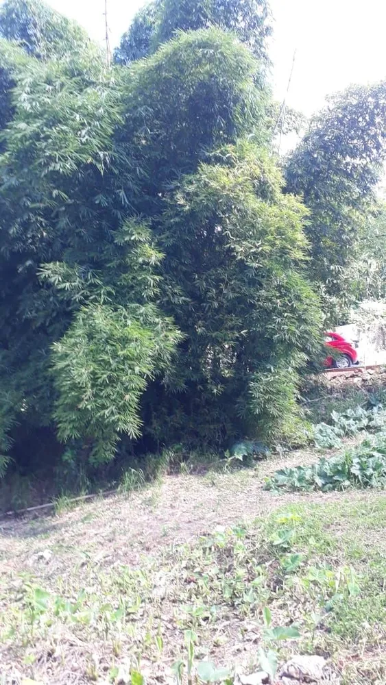 Terreno, 265 m² - Foto 10