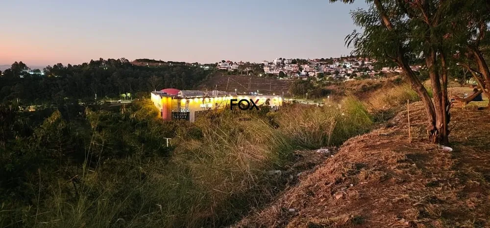 Casa, 5 quartos, 350 m² - Foto 8