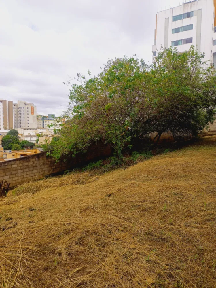 Terreno, 600 m² - Foto 9