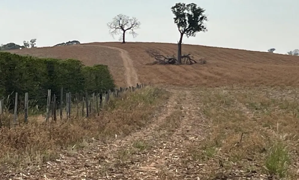 Fazenda, 968 m² - Foto 10