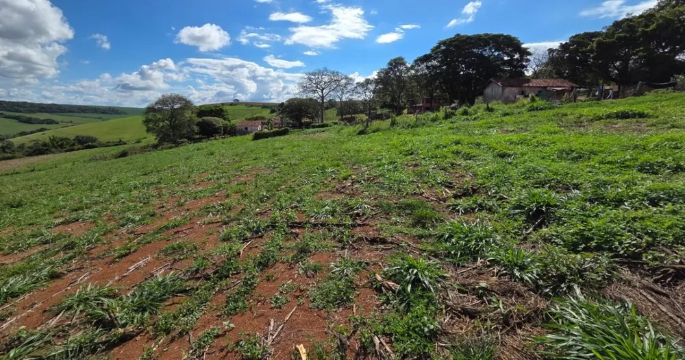 Fazenda, 968 m² - Foto 3