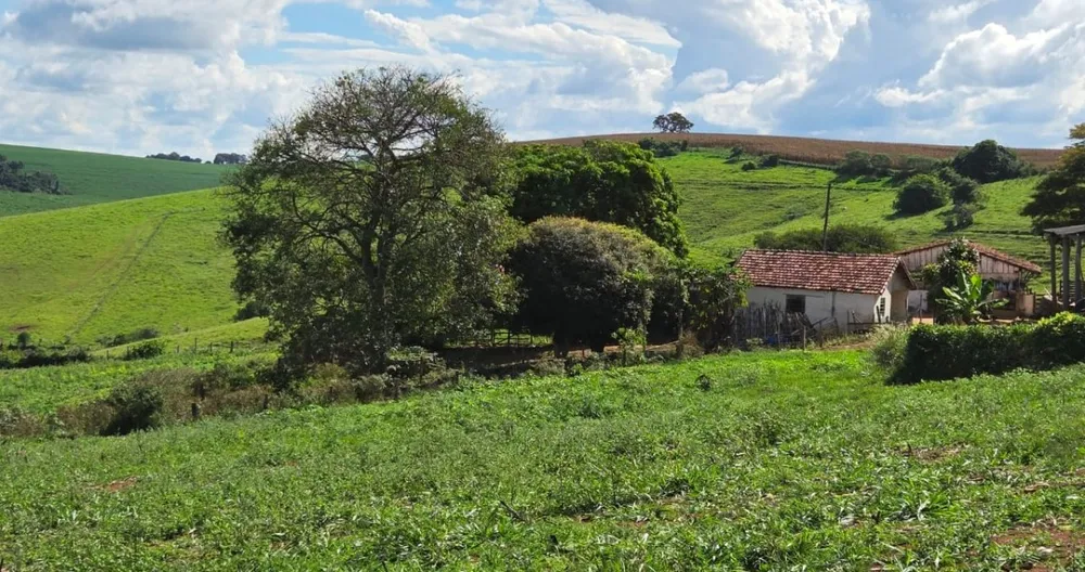 Fazenda, 968 m² - Foto 4