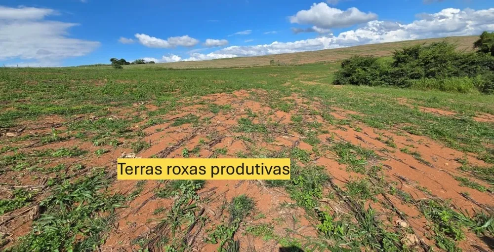 Fazenda, 968 m² - Foto 1