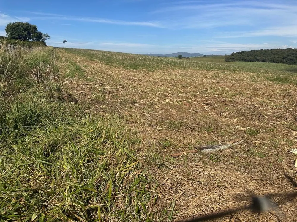Fazenda, 968 m² - Foto 11
