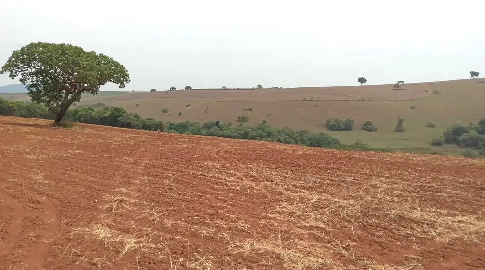 Fazenda, 968 m² - Foto 15