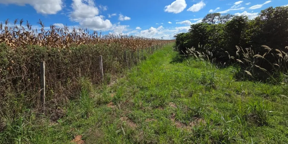 Fazenda, 968 m² - Foto 6