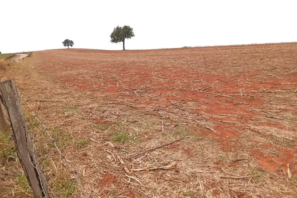 Fazenda, 968 m² - Foto 5