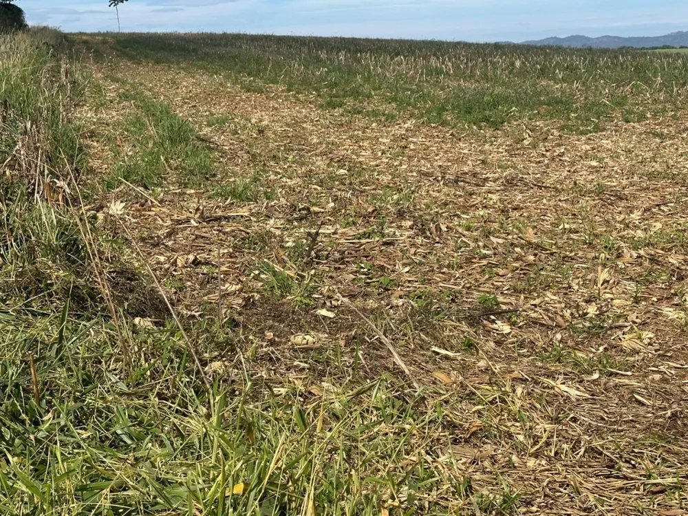Fazenda, 968 m² - Foto 7