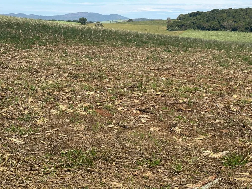 Fazenda, 968 m² - Foto 8
