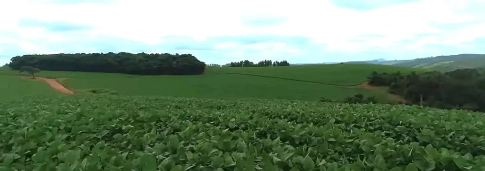Fazenda, 552 hectares - Foto 26