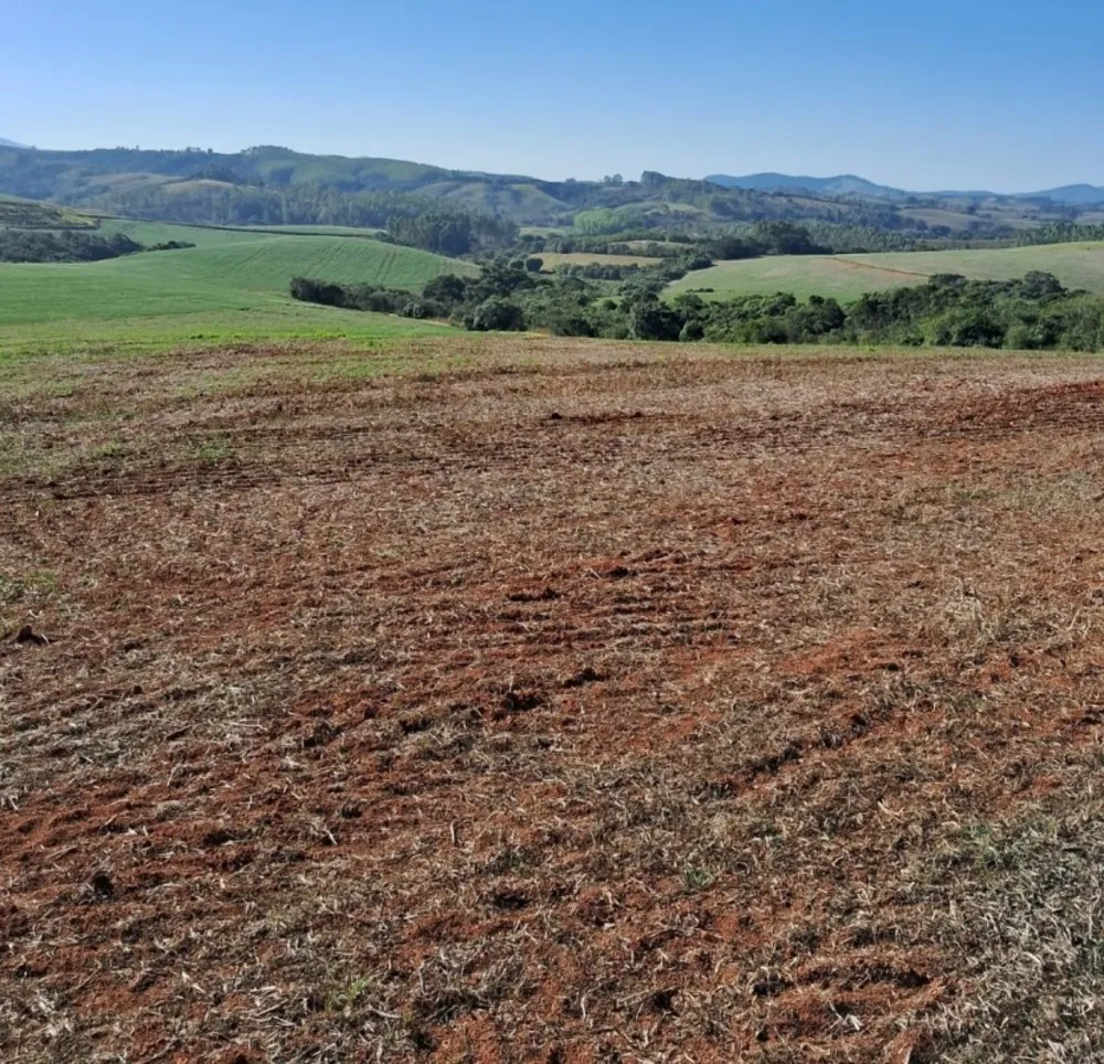 Fazenda, 552 hectares - Foto 6
