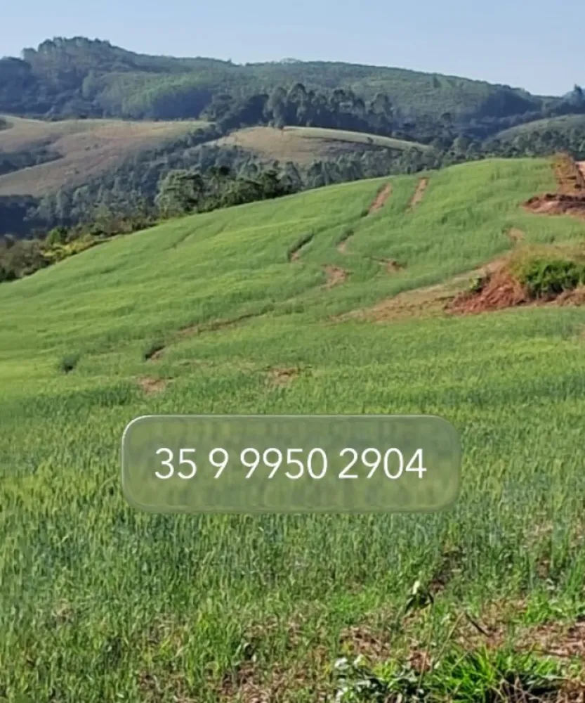 Fazenda, 552 hectares - Foto 25