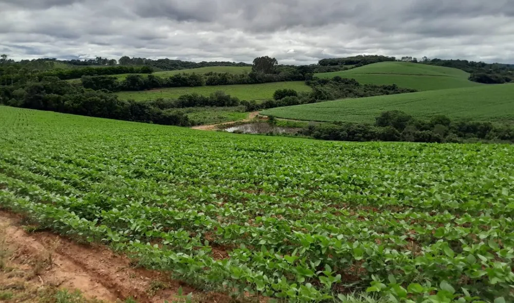 Fazenda, 552 hectares - Foto 20