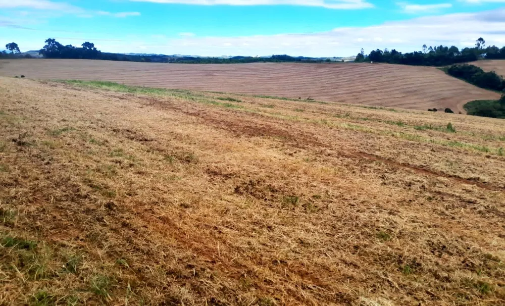 Fazenda, 700 hectares - Foto 2