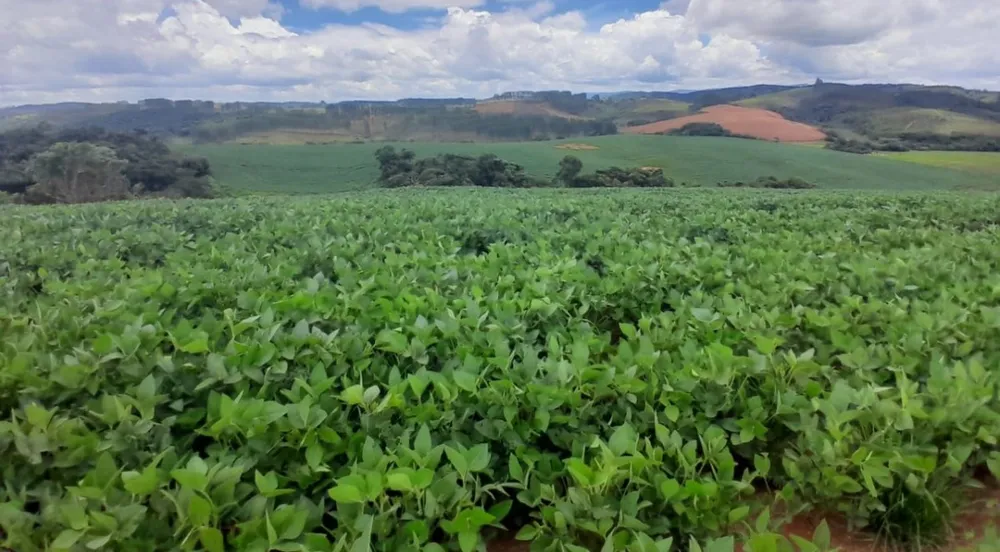 Fazenda, 552 hectares - Foto 15