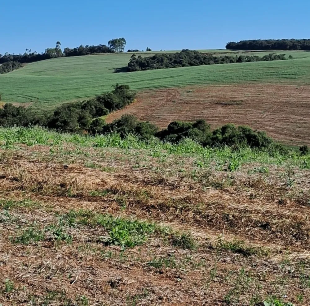 Fazenda, 700 hectares - Foto 9