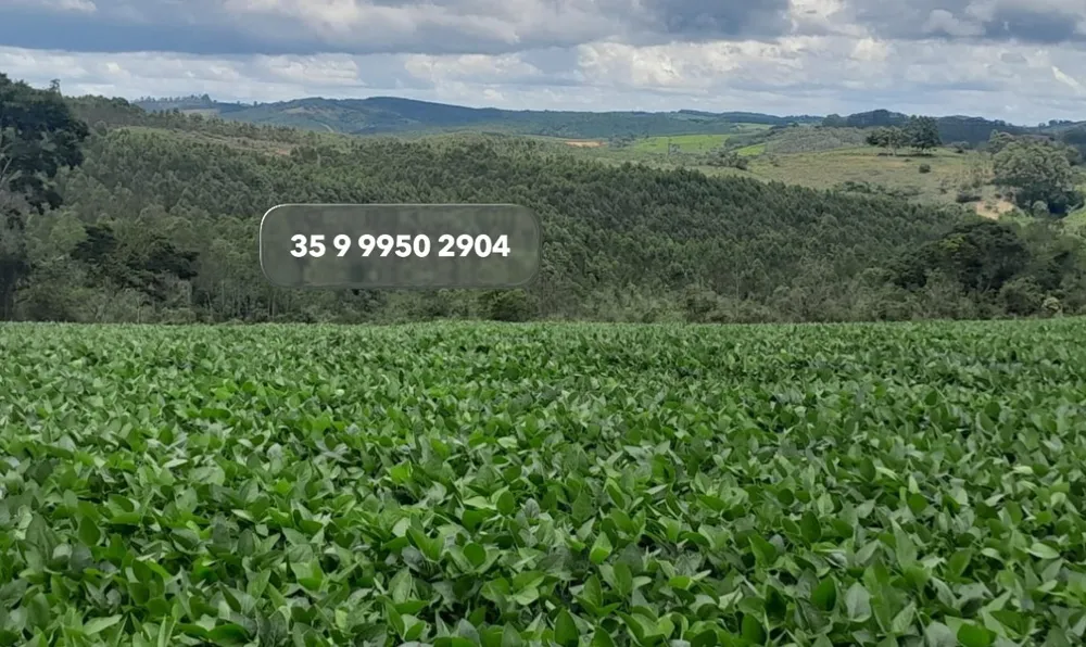 Fazenda, 552 hectares - Foto 3