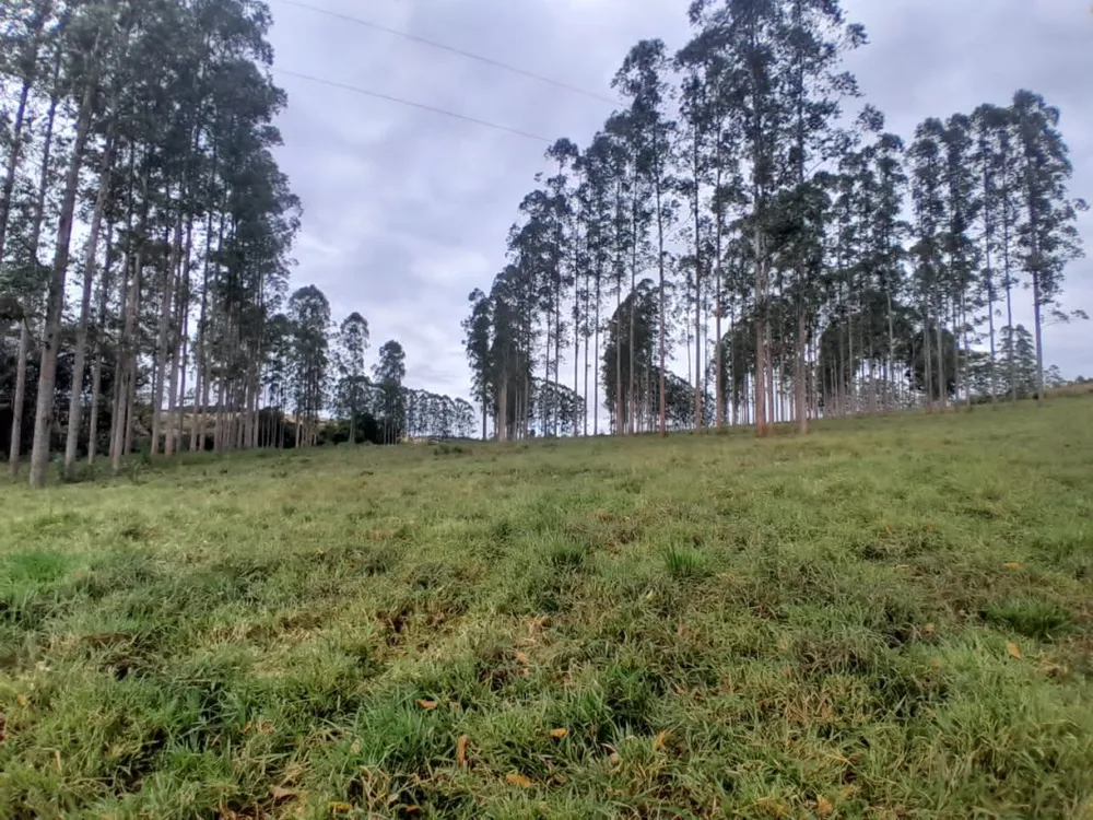 Fazenda, 552 hectares - Foto 11
