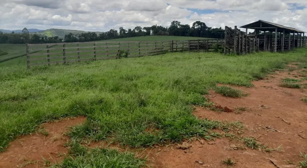 Fazenda, 700 hectares - Foto 11