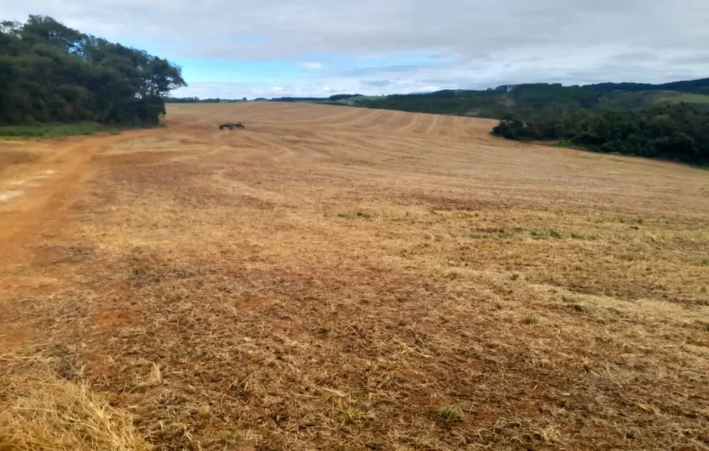Fazenda, 700 hectares - Foto 4