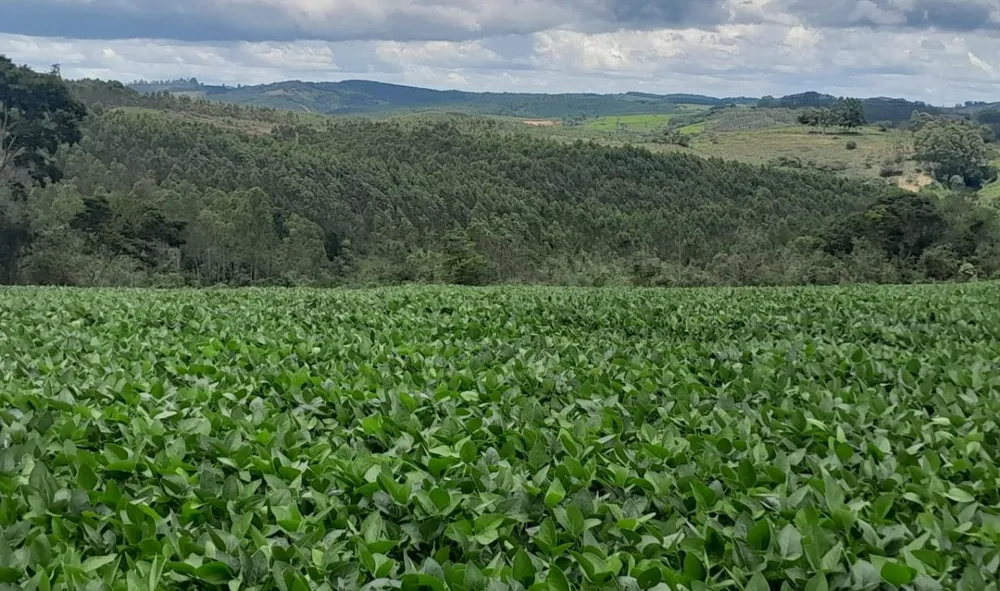 Fazenda, 700 hectares - Foto 1