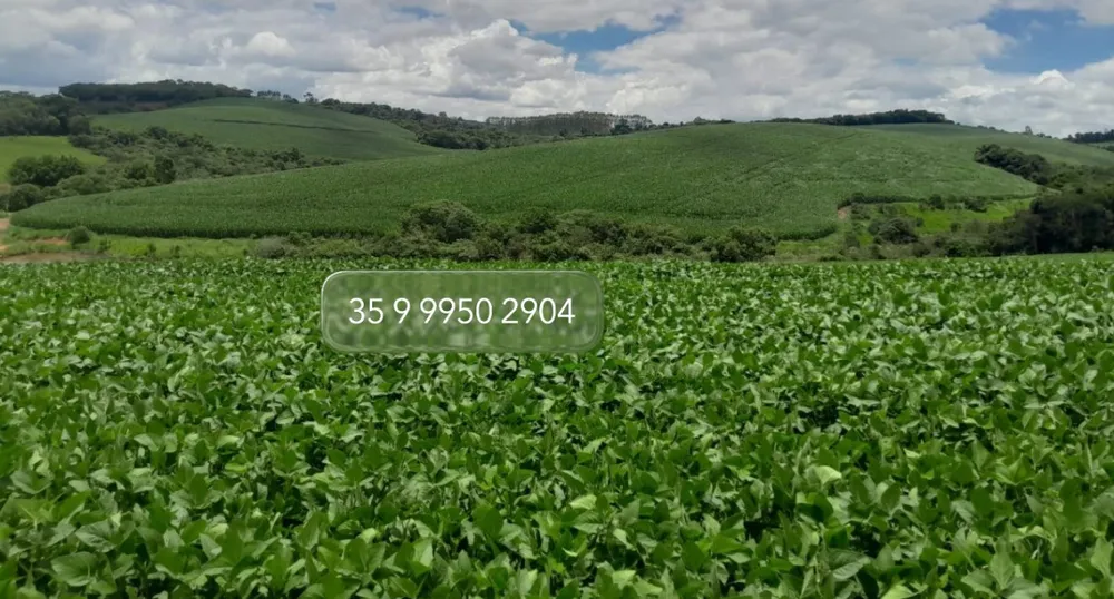 Fazenda, 552 hectares - Foto 13