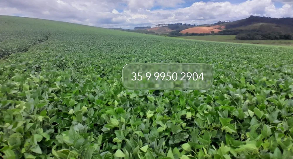 Fazenda, 700 hectares - Foto 10