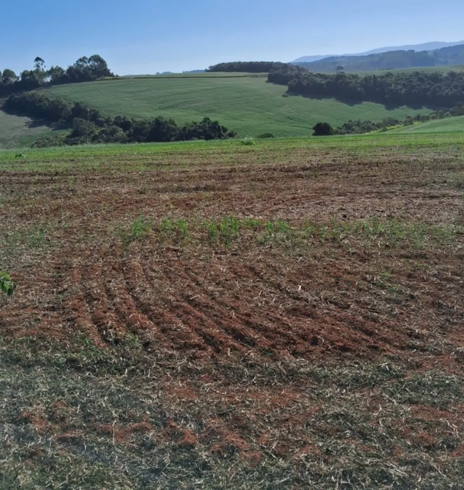Fazenda, 552 hectares - Foto 23